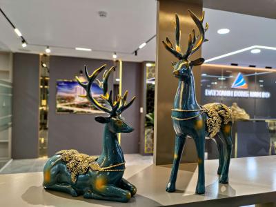 Thiết Kế Thi Công Văn Phòng Công Ty Mặt Trời Cửu Long